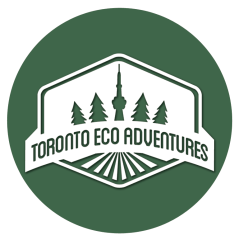 Toronto EcoAdventures