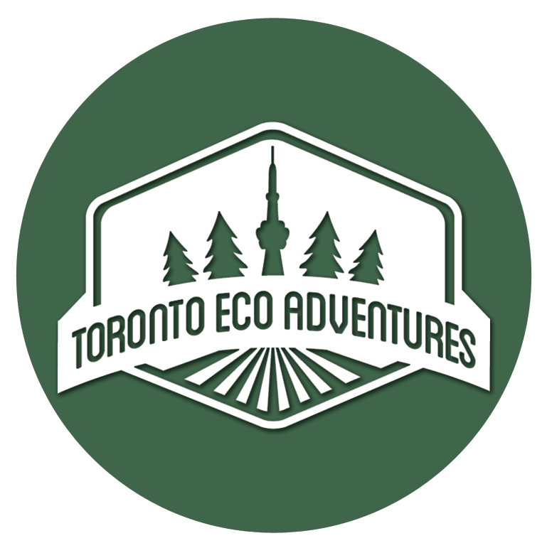 Toronto EcoAdventures